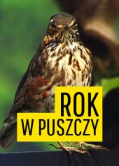 Rok w puszczy